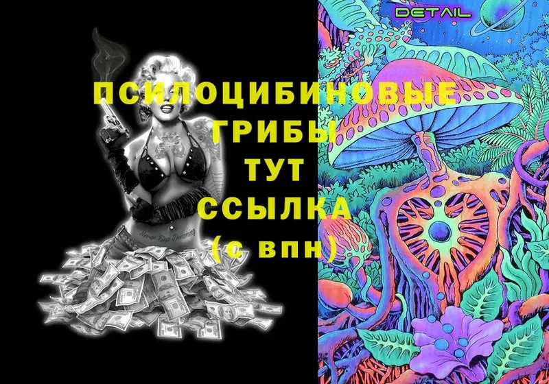 блэк спрут зеркало  цена   Благодарный  Псилоцибиновые грибы Cubensis 